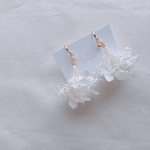 かすみ草 紫陽花 ドライフラワー ブーケ ピアス