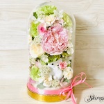かくれんぼうさぎ…Glass dome LL size