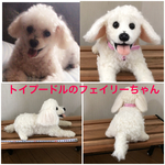 大きいうちの子オーダー