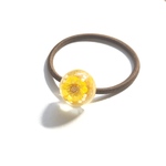 Sunshine flower