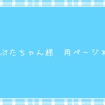 ぷたちゃん様専用ページ＊