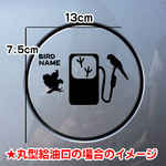 【期間限定お値下げ中!1200円→1000円】インコ 鳥 ステッカー リアガラス 給油口 車 愛鳥