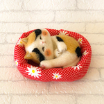 羊毛フェルト　ニャンモナイト(三毛猫)