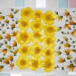 押し花商品【メラスフェルラとキンポウゲ】
