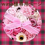 wasa様専用ページ