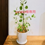 yurabo様専用