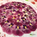 ♡new♡作家様必見♡ ♡赤花処理済み♡ ♡人気のビオラ♡押し花セット