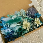 ブルーブルーブルー＊フランネルフラワー＊ハーバリウム 花材ドライフラワー  花材セット