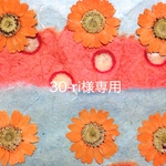 30-ri様専用