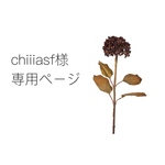 chiiiasf様専用ページ