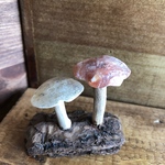 流木と貝殻でキノコ11