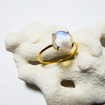 Rainbow Moon Stone Gold Ring/18KGP レインボームーンストーンゴールドリング