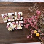 ウェルカムキャンドル (スターチス)