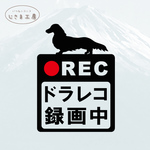 ダックスフンドの黒シルエットステッカードライブレコーダー録画中