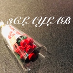  ☆送料無料☆愛を込めて花束を／赤薔薇７本花束