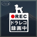 トイプードルの白色シルエットステッカードライブレコーダー録画中
