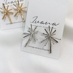 ＊SALE＊silver＊デザイン ピアス