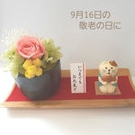 敬老の日☆プリザーブドフラワー☆猫