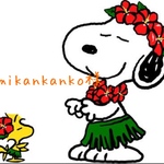 mikankanko様 合皮ショルダーストラップ
