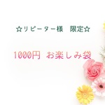 リピーター様限定   1000円