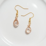 ワンコイン企画❇️キラキラピアス☆