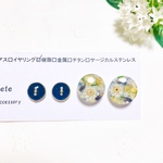  小ぶりのレジンイヤリング、レジンピアス②