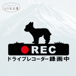 ヨークシャテリアの黒色シルエットステッカー煽り運転ドライブレコーダー録画中‼