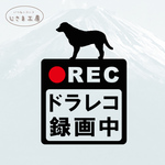 ラブラドールレトリバーの黒シルエットステッカードライブレコーダー録画中
