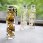 【在庫品SALE】*herbarium*シンプルインテリア[ヒメヒマワリ×ユーカリ]