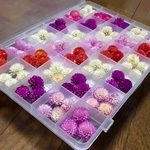 お花屋さんが作った本日ドライフラワーは千日紅特大 Boxです！   ②