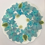 NO.147  押し花素材／ペールブルーの紫陽花リース