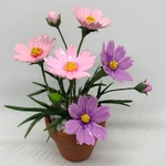 コスモスの花鉢 B ミニチュア