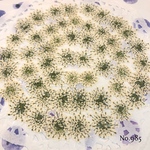 ♡new♡作家様必見♡ ♡レースフラワー 押し花♡
