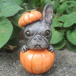 ハロウィン★フレンチブルドッグ①