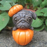ハロウィン・パグ③