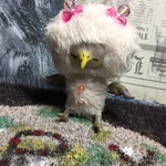 鳥さん