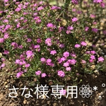 さな様専用