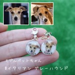 持ち歩きペットの似顔絵 ▼ グレーハウンド ウィペット▼  名前入れ オリジナル 犬 ペット  キーホルダー