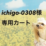 ichigo-0308様オーダー