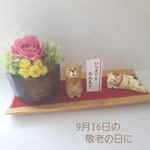 敬老の日☆プリザーブドフラワー☆カワウソと猫