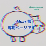 Ms.rr様専用ページです