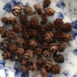 10g タマラックコーン ナチュラル 