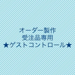 ★オーダー製作 受注品専用 ゲストコントロール★