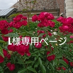 L様専用サイズによる追加料金