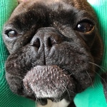 teddyr様、専用になります