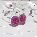 千日紅 氷中花 ピアス 
