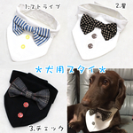 犬服　蝶ネクタイスタイ(3柄から選べます)