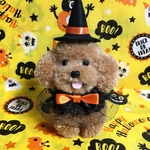 にっこり♪トイプードル・ハロウィンバージョン（茶色、ショート丈ドレスバージョン）