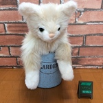 h様オーダーメイド品(アメリカンショートヘア成猫)