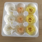 イエロー系ローズ9輪セット